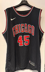 NBA Chicago Bulls Michael Jordan #45 Jersey (2 foto / 4)