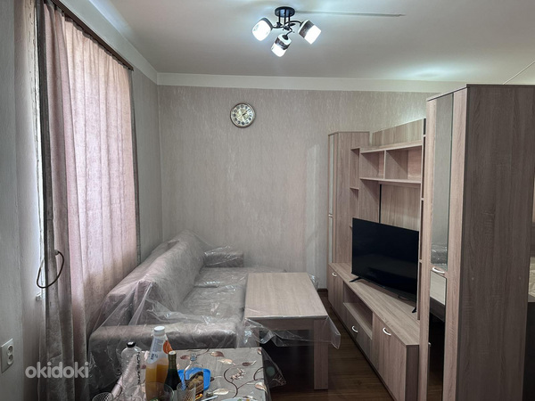 Продается участок с домом 38м и фруктовым садом 560м (6 из 27)