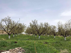 Հողատարածք (23 լուսանկար / 31)