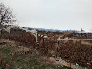 Հողատարածք (5 լուսանկար / 6)