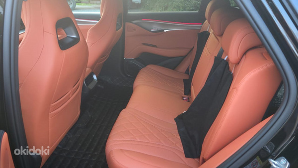 DYD SEA LION 07 (10)