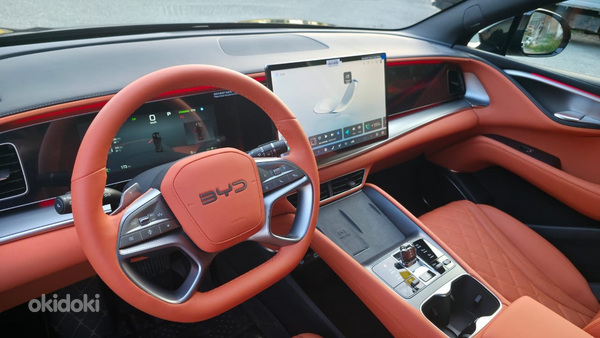 DYD SEA LION 07 (11)