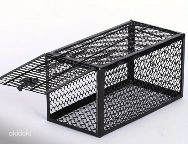 Առնետ և մուկ բռնող թալաք թակարդ (2)