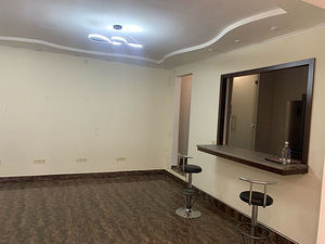 Կոմերցիոն տարածք (8 լուսանկար / 14)