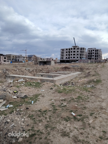 Տնամերձ հող (5)