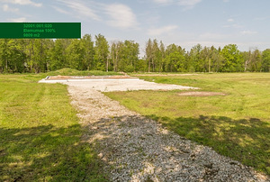 Toominga, Kaasikvälja, Toila vald, Ida-Virumaa (1 foto / 9)