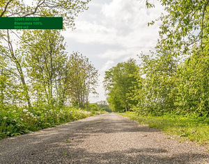 Toominga, Kaasikvälja, Toila vald, Ida-Virumaa (4 foto / 9)