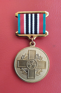 Չեռնոբիլի մեդալներ (4 լուսանկար / 7)