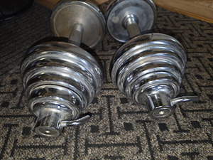 Kokkupandavad hantlid 2 X 12,5 kg (1 foto / 3)