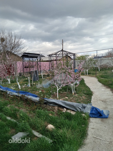 Վաճառվում է հարմարավետ, հարմարավետ, պատրաստ տուն 40 քմ մակեր (10)