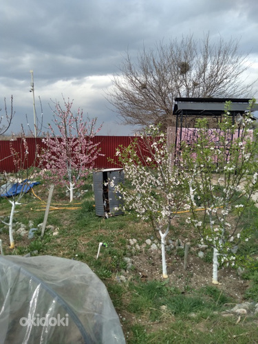 Վաճառվում է հարմարավետ, հարմարավետ, պատրաստ տուն 40 քմ մակեր (14)