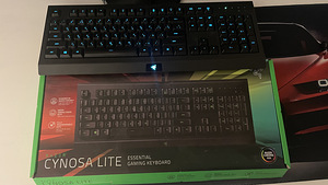 KEYBOARD (RAZER CYNOSA LITE) (3 foto / 4)