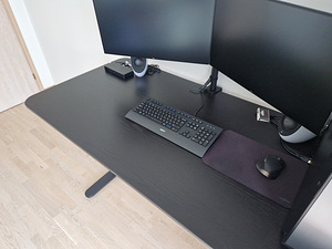 Reguleeritava kõrgusega elektriline laud IKEA BEKANT 160x80 (3 foto / 10)