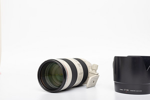 Canon EF 70-200mm f/2.8L IS USM objektiiv (7 foto / 10)