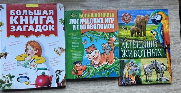 Raamatud vene keeles (foto #3)