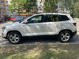 Škoda karog (7 foto / 9)