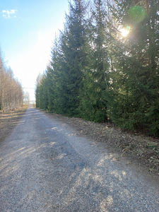 Võru tn 1, Vastseliina, Võru vald, Võrumaa (15 foto / 23)