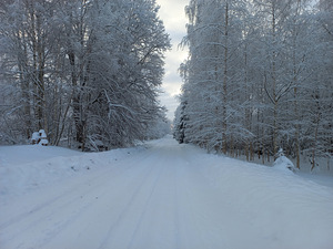 Võru tn 1, Vastseliina, Võru vald, Võrumaa (19 foto / 23)
