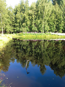 Võru tn 1, Vastseliina, Võru vald, Võrumaa (3 foto / 23)