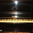 Must klaver roosiga Smolensk (foto #2)