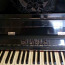 Черное пианино с розой Смоленск (фото #2)