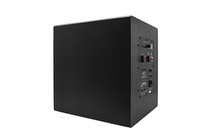 Uus Earthquake Sound FF-12 subwoofer (4 foto / 5)