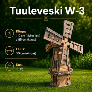 Tuuleveski ja aijakaunistus (2 foto / 5)