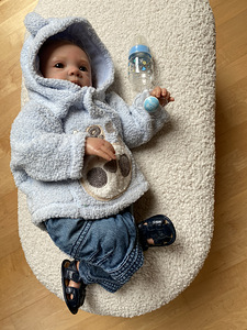 Reborn beebinukk (2 foto / 10)