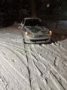 Peugeot 206 (1 фото из 9)