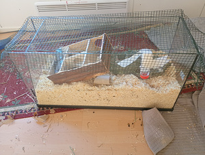 Terraario (1 valokuva sivusta 2)