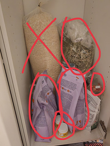 Kaks tyttö marsua (8 valokuva sivusta 10)