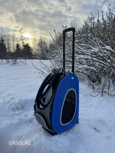Koera/kassikandekott, kandekott koertele/kassidele