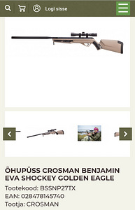 Õhupüss