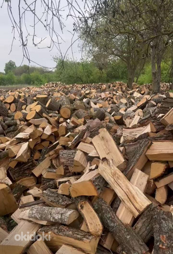 Купити дрова в Рожищі з доставкою – швидко, вигідно, якісно