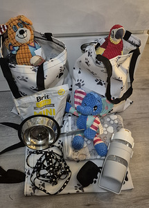 POMERANIAN PENTU (6 valokuva sivusta 7)