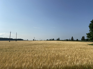 Suur tn 5, Jõgeva, Jõgeva vald, Jõgevamaa (4 фото из 5)