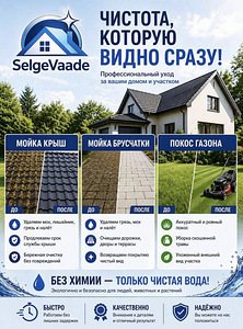 Puhas katus, sillutis ja hooldatud muru ilma liigse vaevata! (1 foto / 1)
