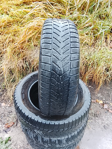 Ламельные шины R16/65/225 Goodyear (1 фото из 5)