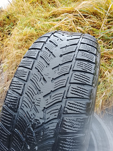 Ламельные шины R16/65/225 Goodyear (2 фото из 5)