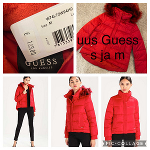 Новые куртки Guess (1 фото из 3)