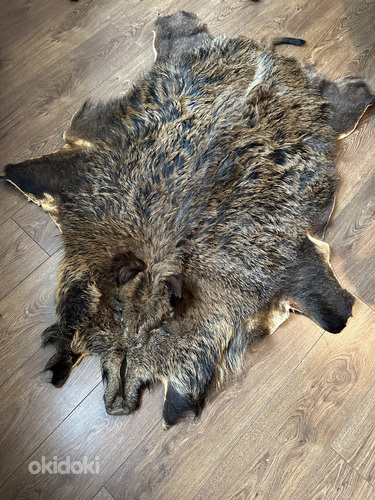 Metssiga karusnahk