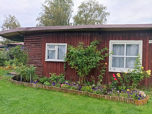Kure tee 37, Kallavere, Jõelähtme vald, Harjumaa (1 foto / 15)