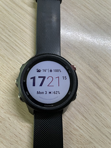 Garmin Forerunner 245 Music (6 foto / 7)