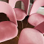 новые обеденные стулья (фото #2)