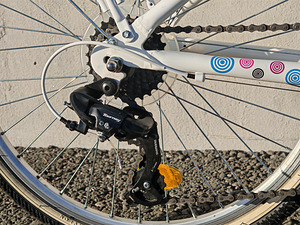 Велосипед для девочек ROMET Panda 14", 24" белый (7 фото из 8)
