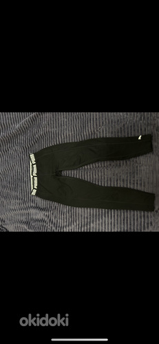 Puma retuusid