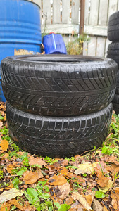Ламелевые шины Goodyear 225/50R17 две штуки (2 фото из 2)