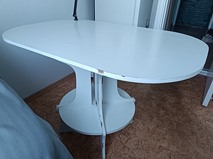 Annan ära kasutatud söögilaud ja raamaturiiul (5 foto / 5)
