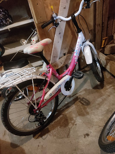 Велосипед для девочки Esperia 20