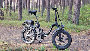 Elektriratas BURCHDA R8S 800W